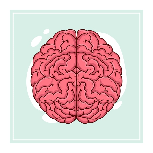 Hand drawn brain drawing illustration