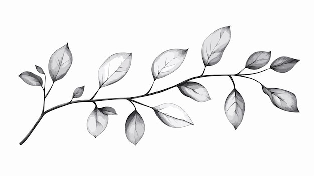 Vector hand drawn branch with leaves vector icon illustration