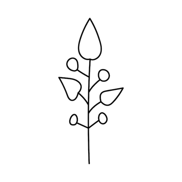 Hand drawn branch with leaves