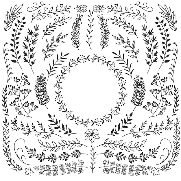 Hand drawn branches with leaves ornaments. Decorative floral wreath border frames. Rustic doodle vector set