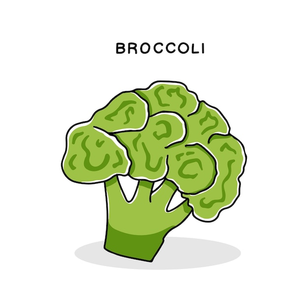 Hand drawn broccoli cabbage icon Vector illustration isolated on white background in doodle style