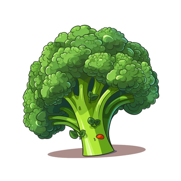 Hand drawn Broccoli cartoon vector illustration clipart white background