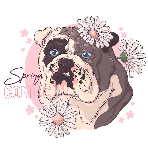 Hand drawn bulldog with flowers