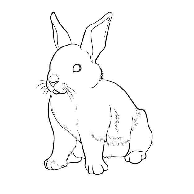 Hand drawn bunny outline illustration