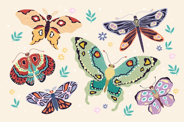 Hand drawn butterfly collection