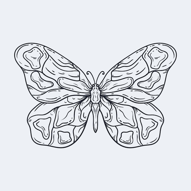 hand drawn butterfly outline