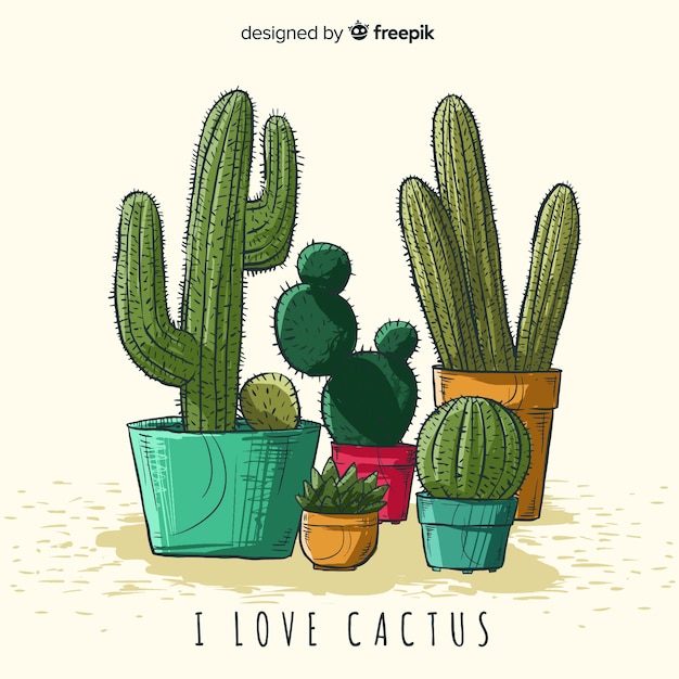 Hand drawn cactus background