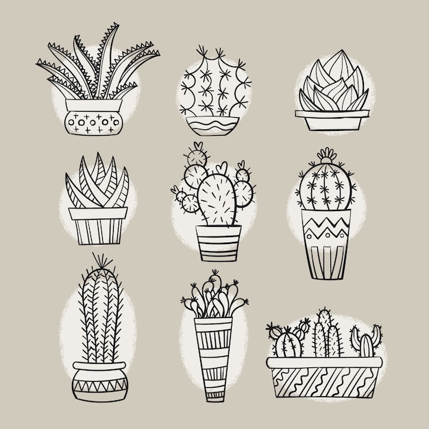 Hand drawn cactus doodles