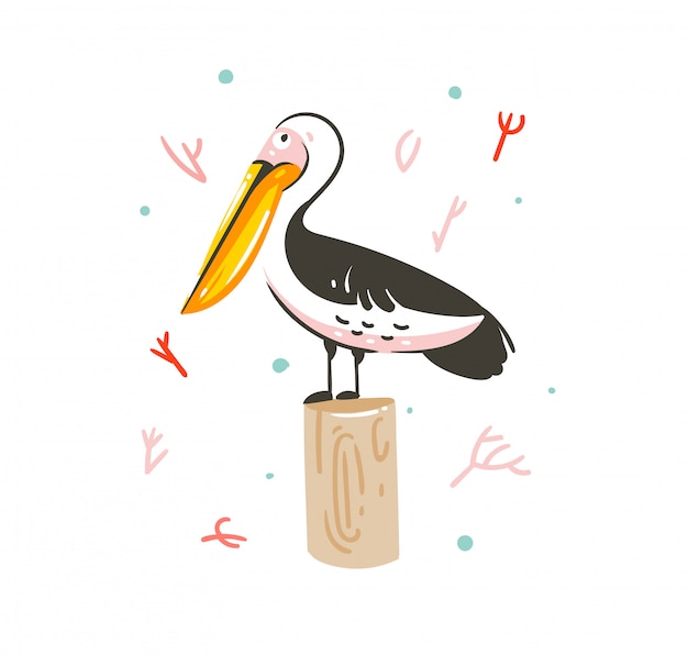 Hand drawn   cartoon summer time graphic decoration illustrations art with exotic marine pelican bird isolated