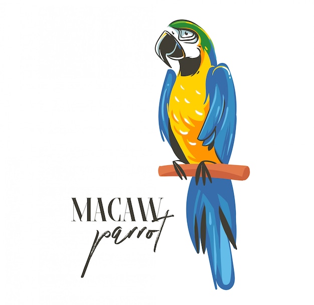 Hand drawn   cartoon summer time graphic decoration illustrations art with exotic tropical rainforest Parrot Macaw bird isolated