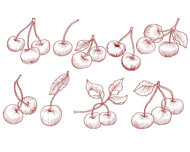 Hand Drawn Cherry Illustration Set