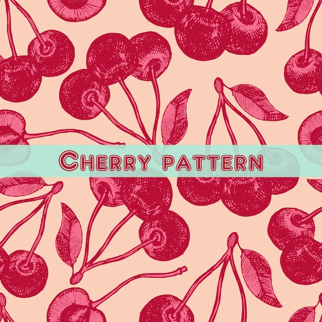 Hand drawn cherry seamless pattern. Garden summer fruit. Thin artistic pencil outline. Textile, wrapping, wallpapers print. Vintage ink flat style, engraved simple doodle sketches