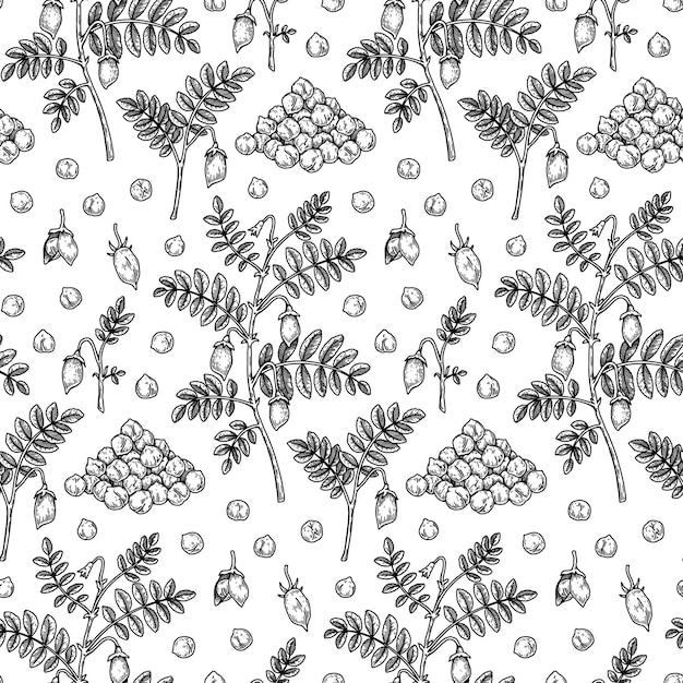 Hand drawn chickpeas seamless pattern Vector illustration in sketch style