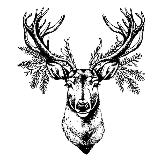 Hand drawn Christmas deer head