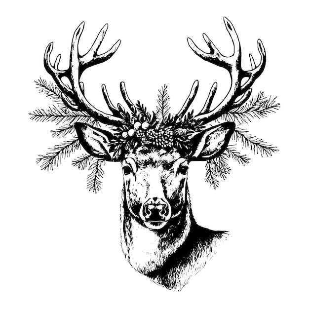 Hand drawn Christmas deer head