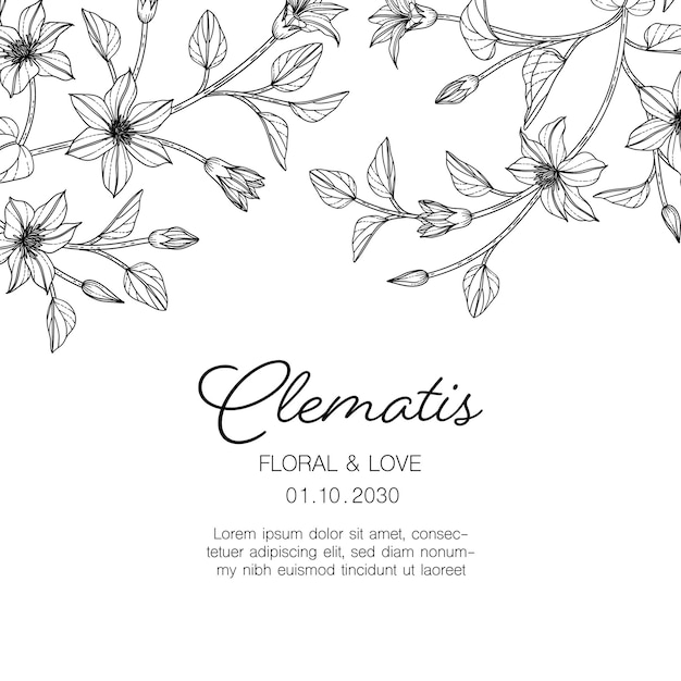 Hand drawn clematis floral greeting card with line art on white backgrounds.