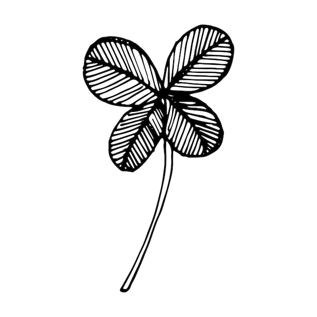 Hand-drawn Clover leaf. Black on white. Decoration single flower elements. Vector illustration