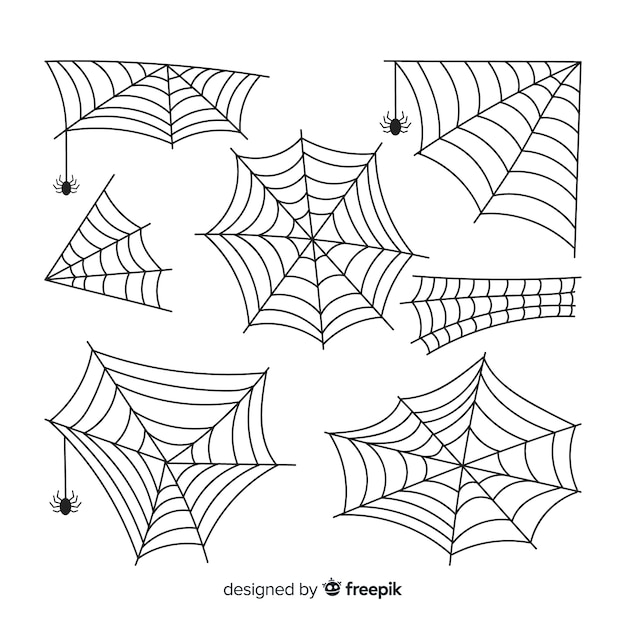 Hand drawn cobweb collection