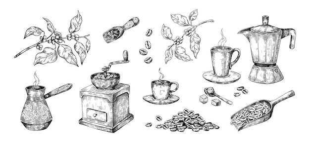 Hand drawn coffee process Sketch of Arabica beans Manual grinder and wooden scoops geyser drink maker or metal cezve Isolated plant branches Cups for morning beverage vector set