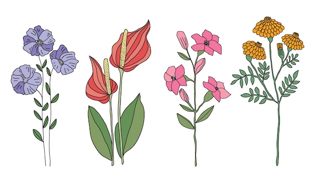 Hand drawn collection of beautiful pastel flower plant on white background