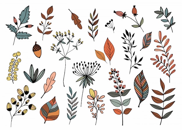 Hand drawn collection with different seasonal plants