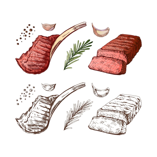 Hand drawn colored sketch of grilled beef steak piece of meat on the bone with rosemary and garlic