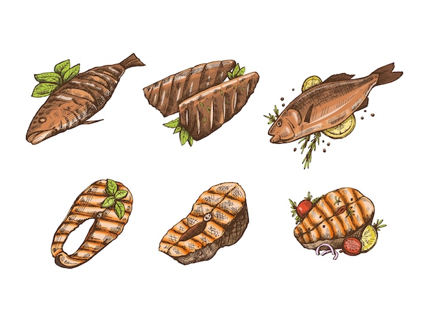 Hand drawn colored vector sketch of barbecue fish and pieces of barbecue salmon steaks