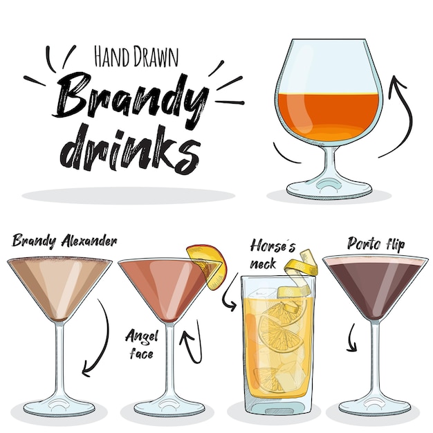 Hand Drawn Colorful Brandy Drinks Set Brandy Alexander Angel face Porto flip Horses neck