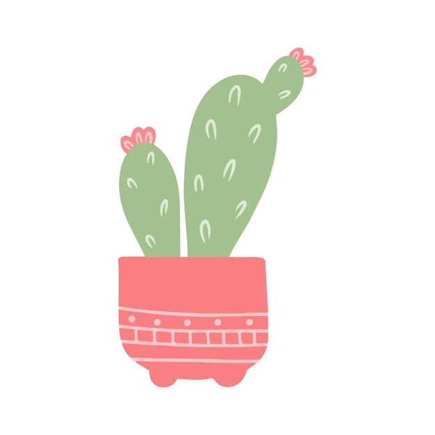 Hand drawn colorful potted flower cacti succulent isolated on a white background