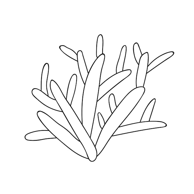 Hand drawn coral reef illustration Doodle coral vector illustration