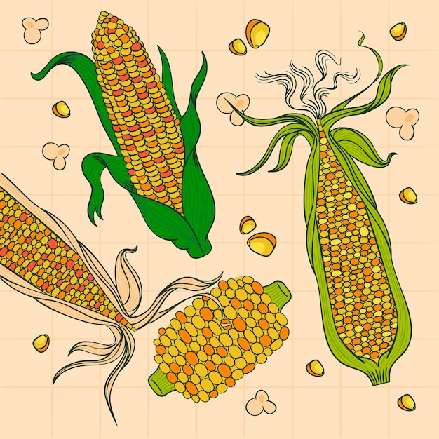 Hand drawn corn on the cob  drawing element