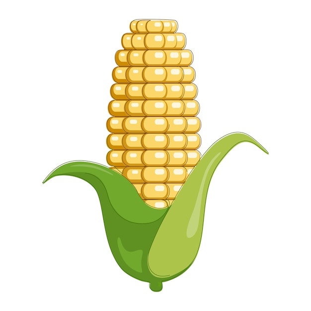 Hand drawn corn in flat design