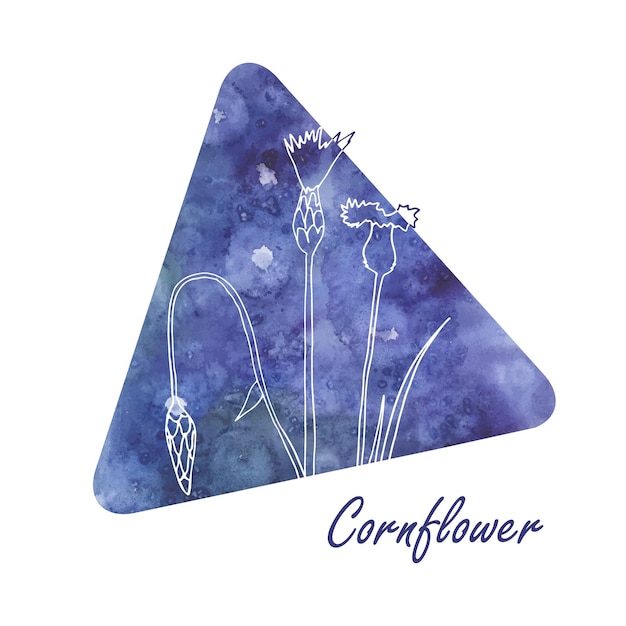 Hand drawn cornflower field flowers with abstract watercolor blot in triangle shape cornflower botanical doodle vector illustration for print textile or wallpaper