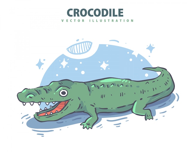 Hand drawn crocodie. Crocodie vector illustration