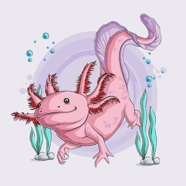 Vector hand drawn cute axolotl ambystoma mexicanum swimming isolated on white background