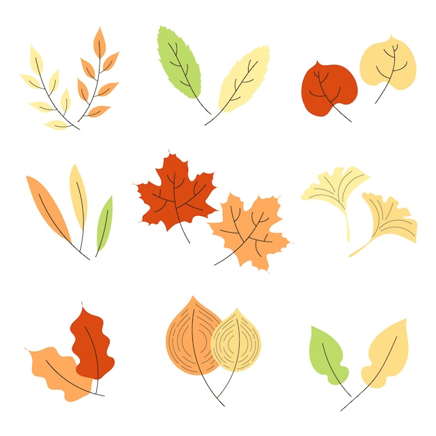 Hand drawn cute and colorful autumn leaves set collection, flat design illustration