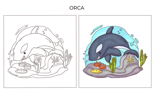 Hand drawn cute ocean animal for coloring page Orca