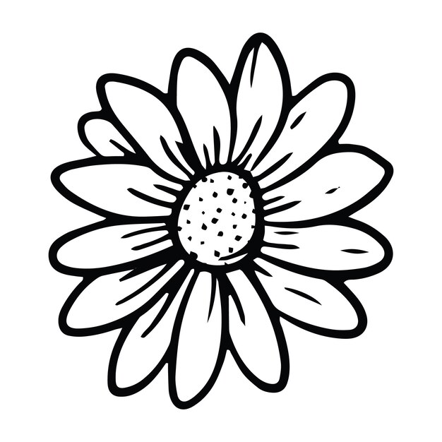 Hand drawn daisy outline illustration