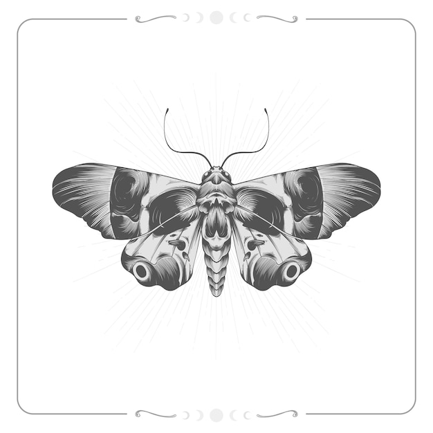 Hand drawn death moth drawing illustration