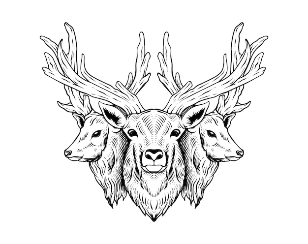 Hand drawn deer winter engraving style line art