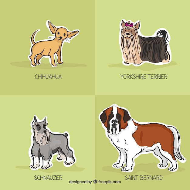 Hand drawn dog breeds pack