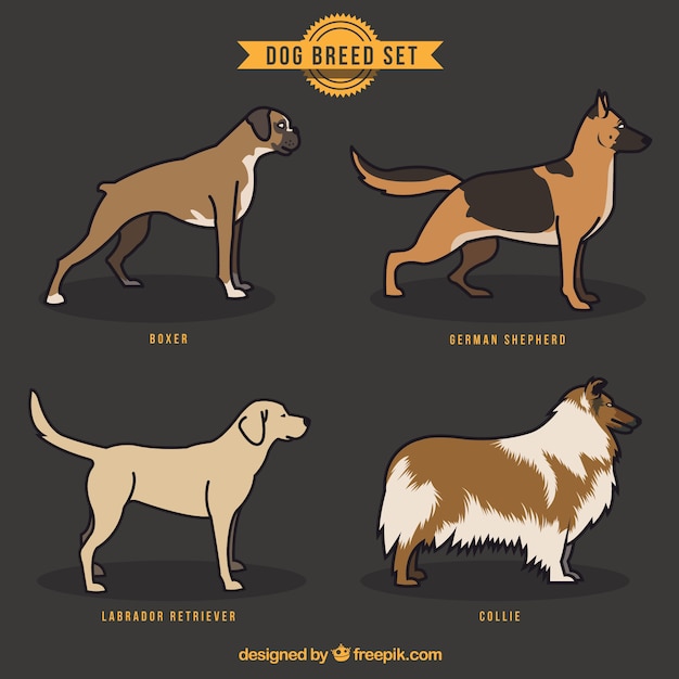 Hand drawn dog breeds set 