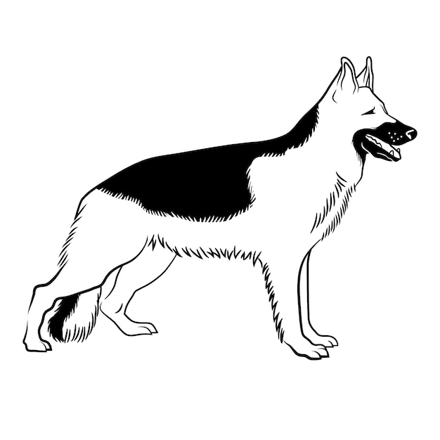 Hand drawn dog outline illustration