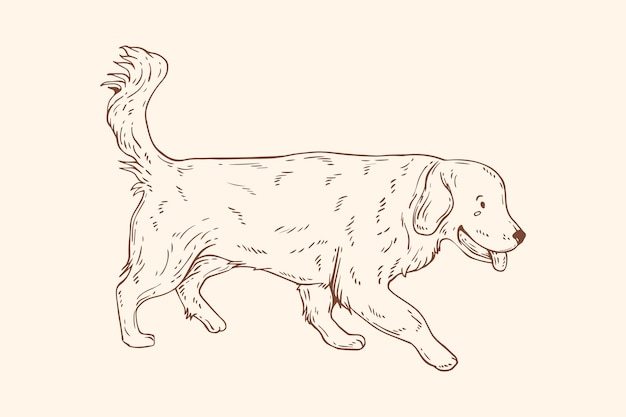 Hand drawn dog outline illustration