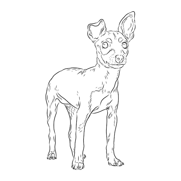 Hand drawn dog outline illustration