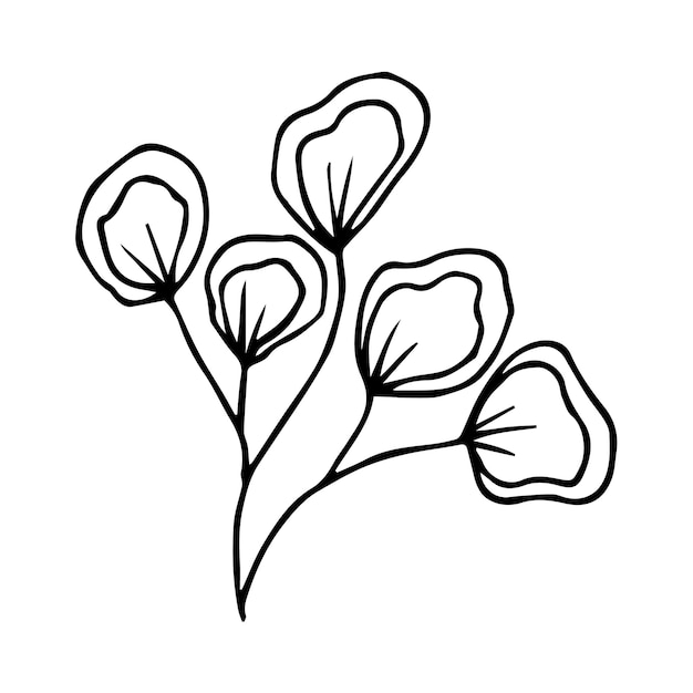 Hand drawn doodle botanical floral element for floral design concept