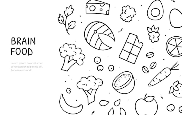 Hand drawn doodle of brain food theme items Berries and vegetables nuts and egg fish and chocolate Web banner template Vector illustration