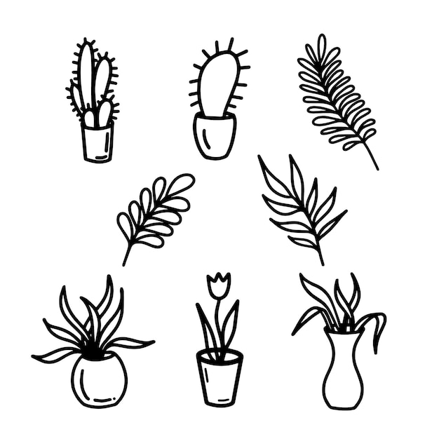 Hand drawn doodle flowers in pots Decorative flowers Cactus tulip fern monstera in line art style