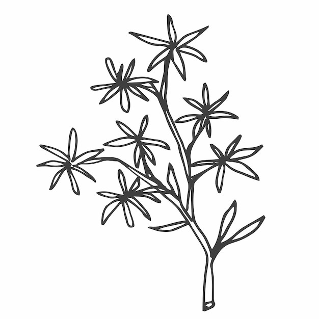 Hand drawn doodle flowers. Simple minimalist flower sketch