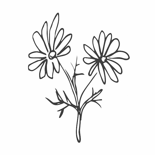 Hand drawn doodle flowers. Simple minimalist flower sketch